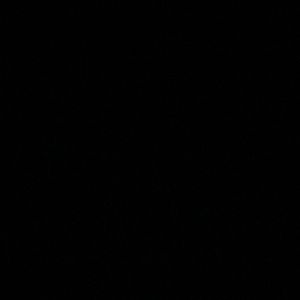 Meet your Posher, Joshua